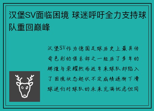 汉堡SV面临困境 球迷呼吁全力支持球队重回巅峰