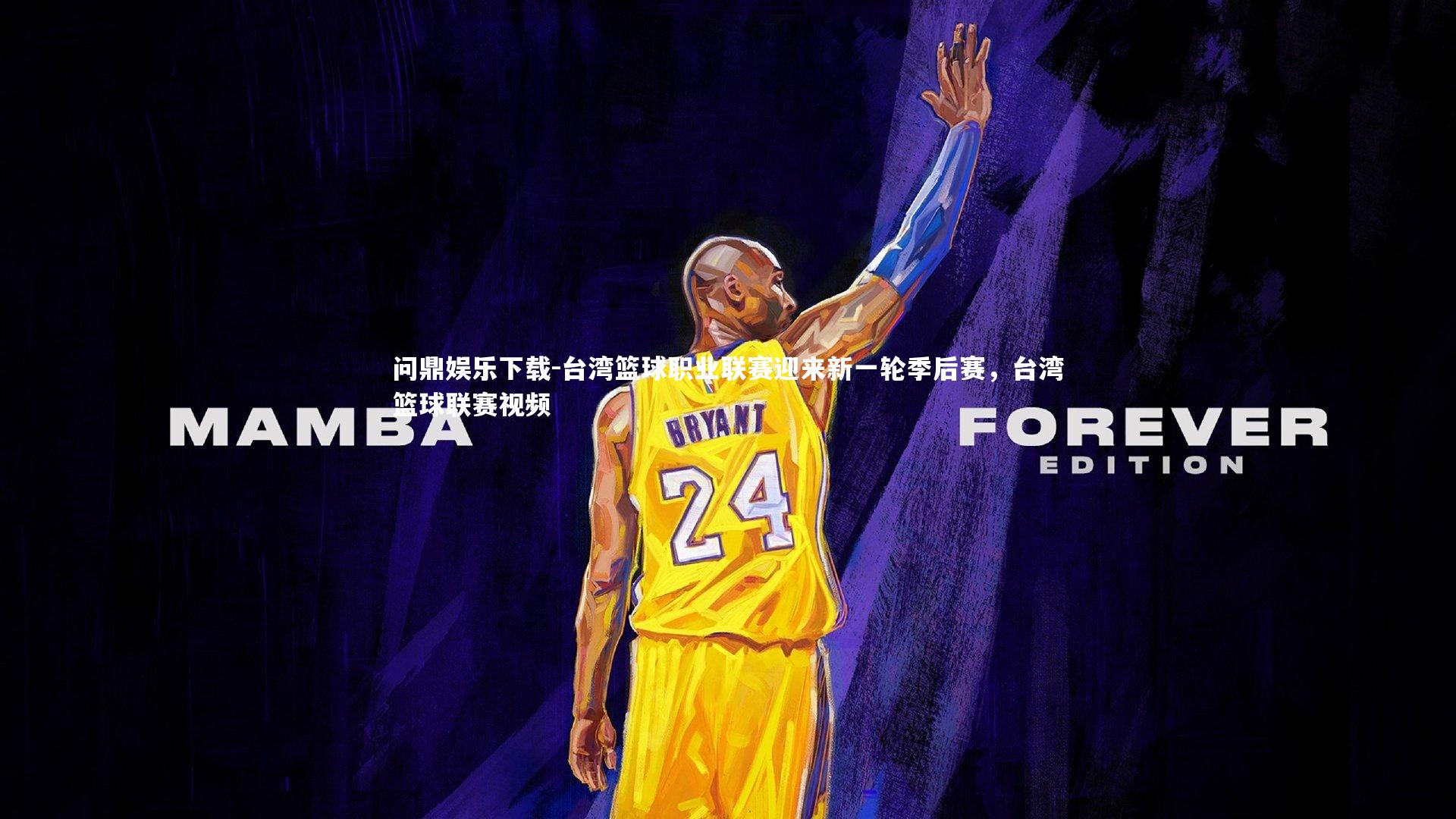 台湾篮球职业联赛迎来新一轮季后赛,台湾篮球联赛视频